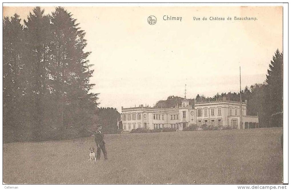 Chimay Vue Du Chateau De Beauchamp 1910 (h774) - Chimay