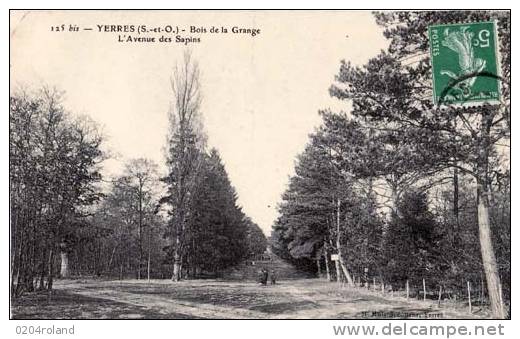 Yerres - Bois De La Grange - L' Avenue Des Sapins - Yerres