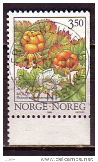 Q7916 - NORWAY NORVEGE Yv N°1162 - Oblitérés