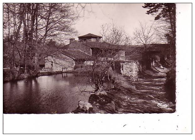 SAINT NIZIER DE FORNAS - L´Ecluse Du MOULIN Du CHATEAU De FORNAS - Otros & Sin Clasificación