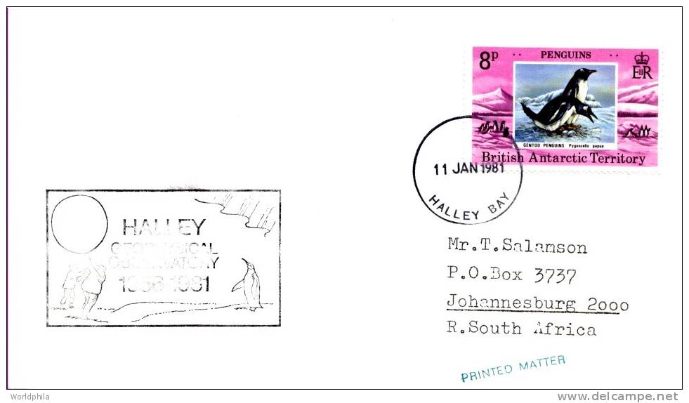 British Antarctic Territory South Pole-South Africa, Penguins Stamp On A Cacheted Cover 1981 - Other & Unclassified