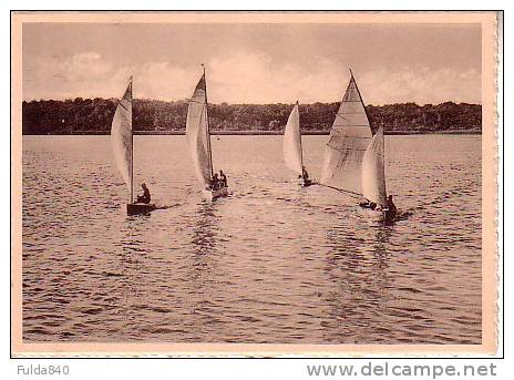 CPA.     LAC DE VIRELLES.    Course De Voiliers.    (animée) - Chimay