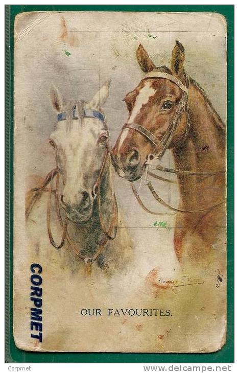 HORSES - FLORENCE E. VALTER Signed UNUSED POSTCARD - - Valter, Fl. E.