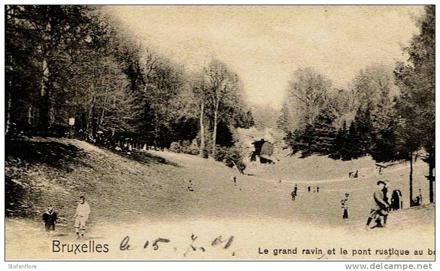 BRUSSEL LE GRAND RAVIN ET LE PONT RUSTIQUE AU BOIS IIN 1901  VERSTUURD VANUIT FLEURUS - Forêts, Parcs, Jardins