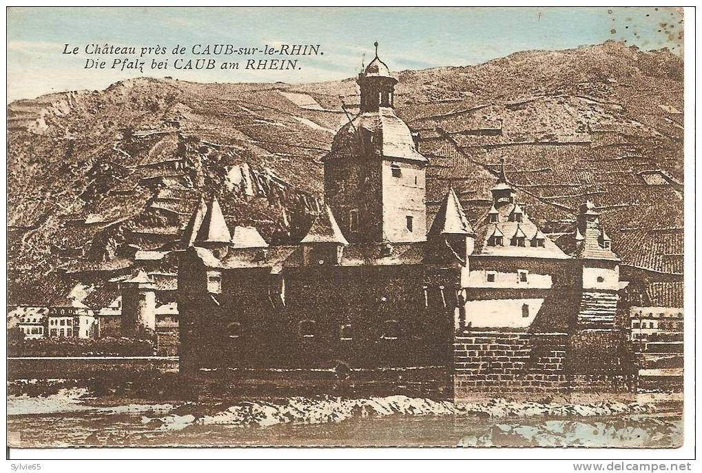 Le Chateau Près De CAUB Sur Le RHIN - Kaub