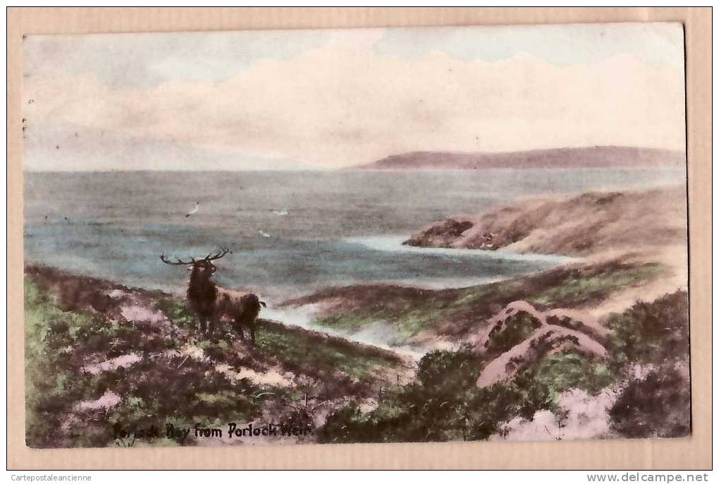Drawing PORLOCK BAY From PORLOCK WEIR Cerf Stag  06.20.1920 Somerset ¤ FRITH &Co SERIES ¤ ENGLAND INGLATERRA ¤6290A - Other & Unclassified
