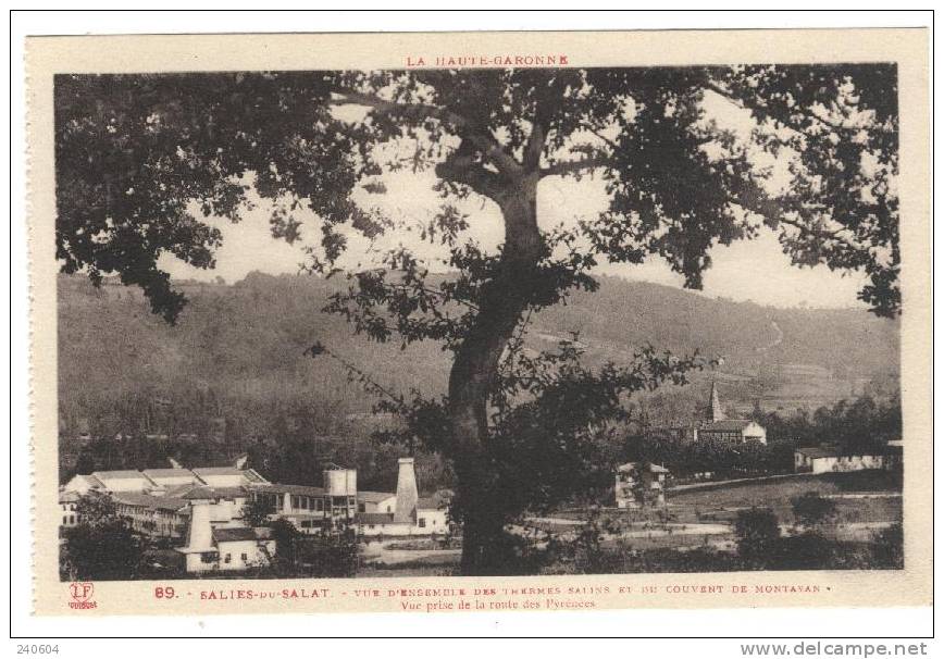 89  -  SALIES Du SALAT  --  Vue D'Ensemble Des Thermes Saline Et Du Couvent De Montavan - Salies-du-Salat