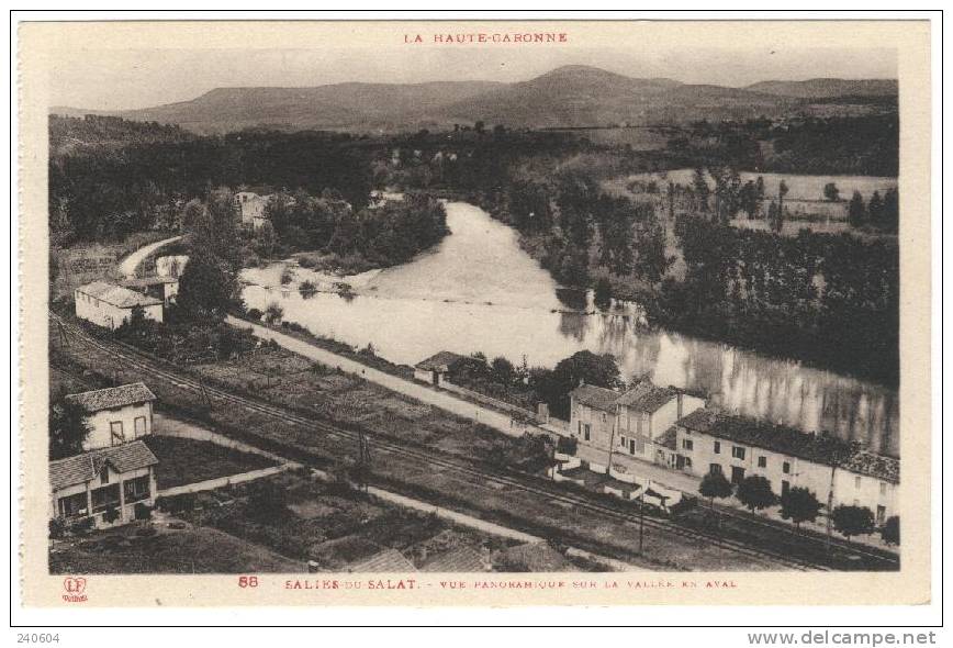 88  -  SALIES Du SALAT  --  Vue Panoramique Sur La Vallée En Aval - Salies-du-Salat