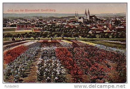 CPA.   GRUB AUS BER BLUMENSTADT QUEDLINBURG.   1917. - Quedlinburg