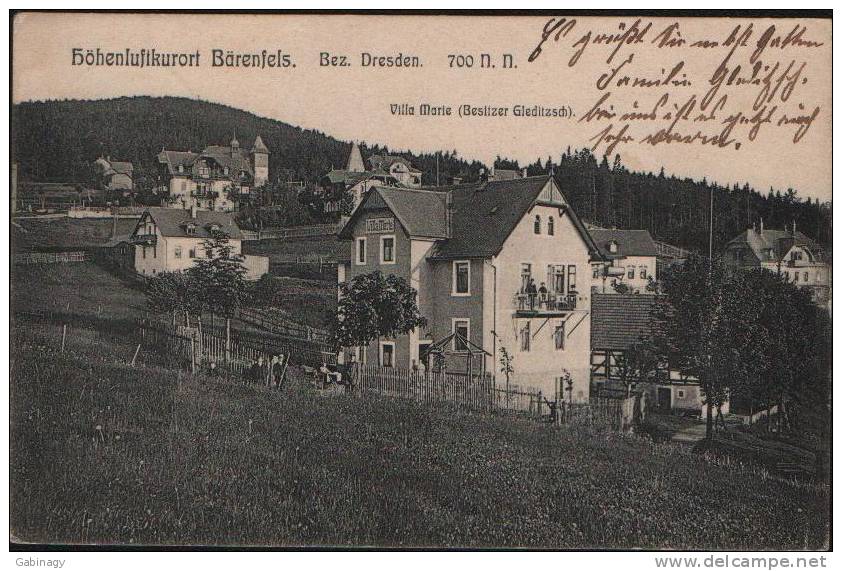 *GERMANY - BARENFELS-002 - VILLA MARIE - 1911 - Altenberg