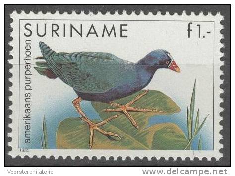 REPUBLIEK SURINAME 1985 ZBL 467 VOGEL BIRD OISEAU - Gallinacées & Faisans