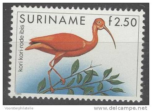 REPUBLIEK SURINAME 1985 ZBL 469 VOGEL BIRD OISEAU - Kranichvögel