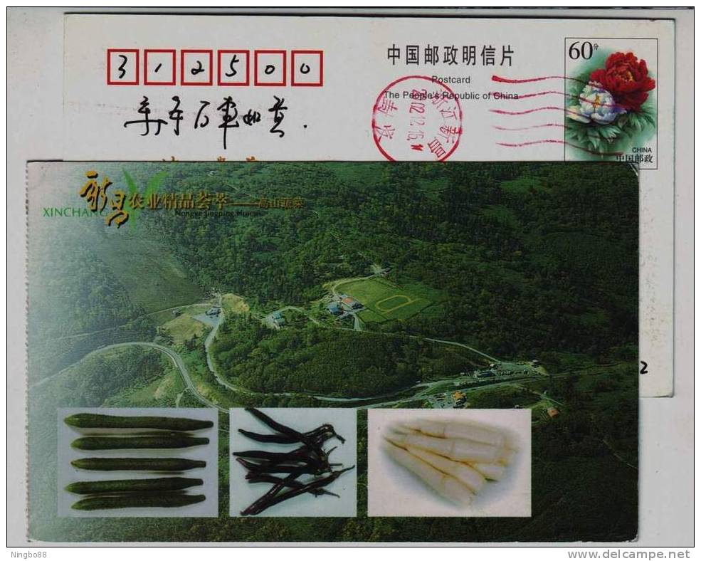 Alpine Vegetable,cucumber,eggplant,zizania,winding Mountain Road,CN 02 Xinchang Agricultural Product Pre-stamped Card - Gemüse