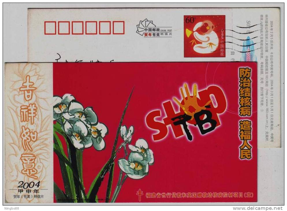 CN 04 Tuberculosis TB Control Project Advert PSC,supported With World Bank Loan And British Donation Narcissus Flower - Disease