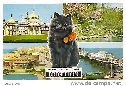 GOOD LUCK FROM BRIGHTON. - Brighton