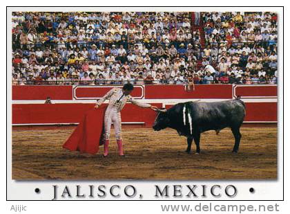 Mexique.  Plaza De Toros A Guadalajara (Estado De Jalisco)   1 Cp Neuve - Bull