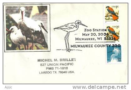 USA.Faucon Crécerelle Américain & Aigrette Blanche. Cachet Du Zoo De Milwaukee. Wisconsin. - Kranichvögel