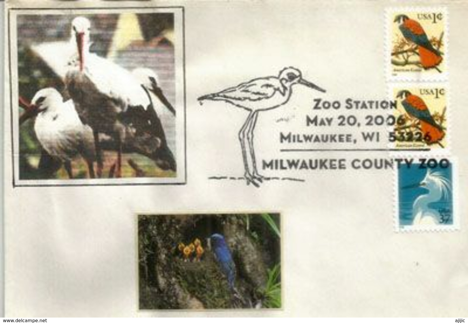 USA. Faucon Crécerelle Américain & Aigrette Blanche. Cachet Du Zoo De Milwaukee. Wisconsin. - Cigognes & échassiers