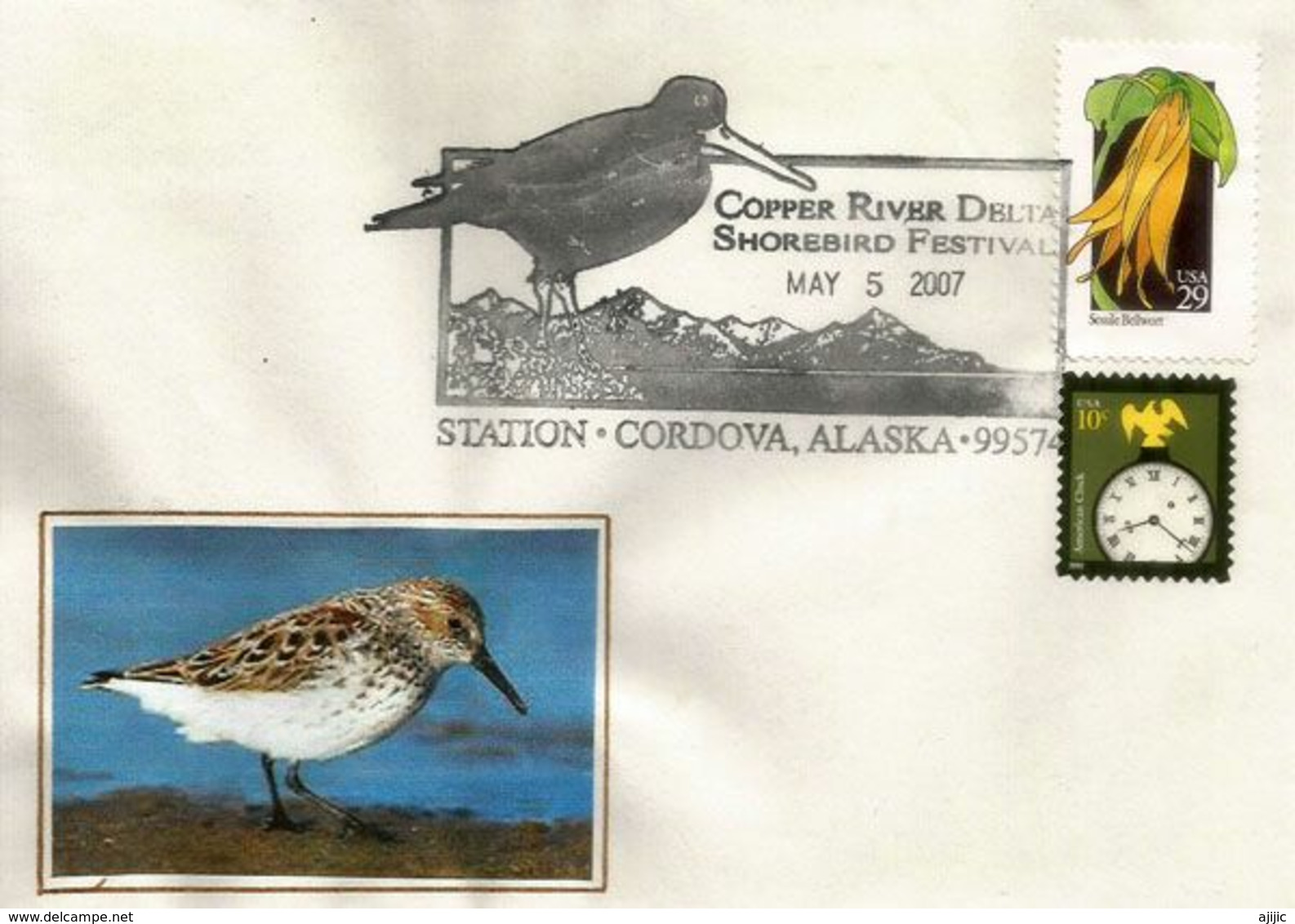 USA.  Copper River Delta Shorebird / Oiseaux De Rivage Du Delta/ Cordova. Alaska.  Cachet Special - Cigognes & échassiers