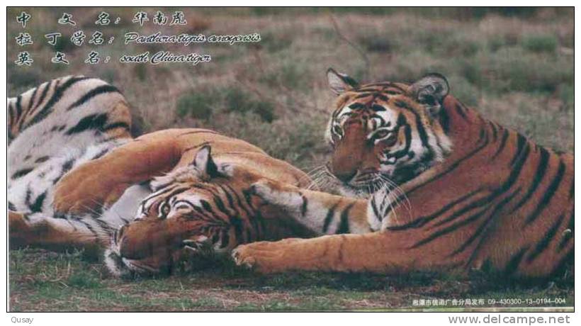 South China Tiger  Rare Animal Endanged Specie , Prepaid Card , Postal Stationery - Rhinoceros