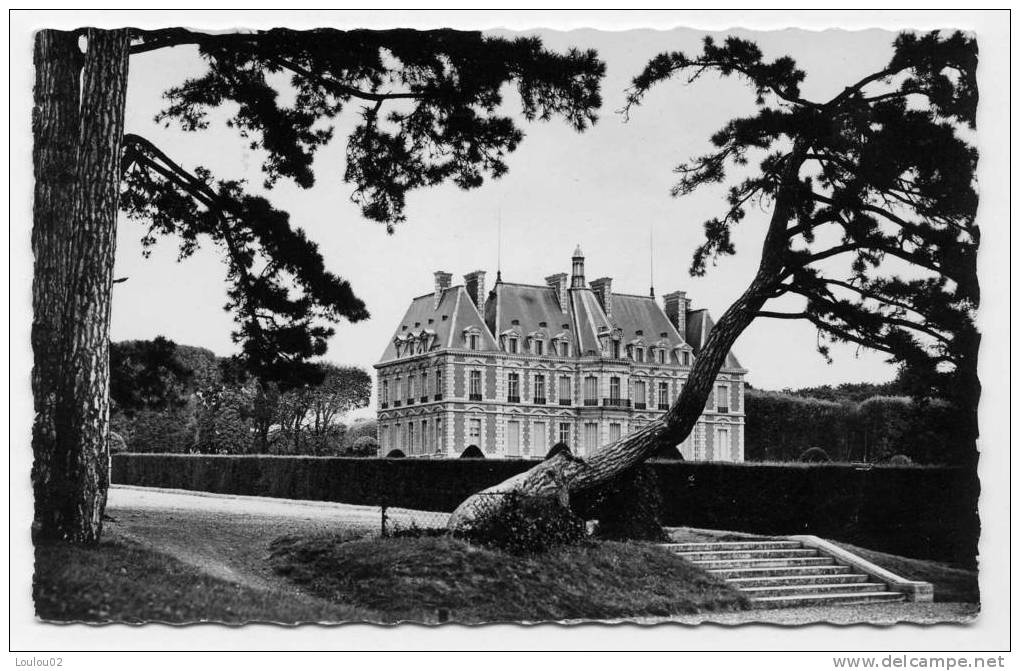 92 - SCEAUX - Le Chateau - Bord Dentelé  - Très Bon état - Sceaux