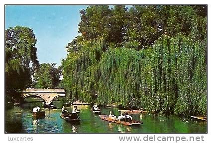 THE BACKS NEAR TRINITY COLLEGE BRIDGE. CAMBRIDGE. - Cambridge