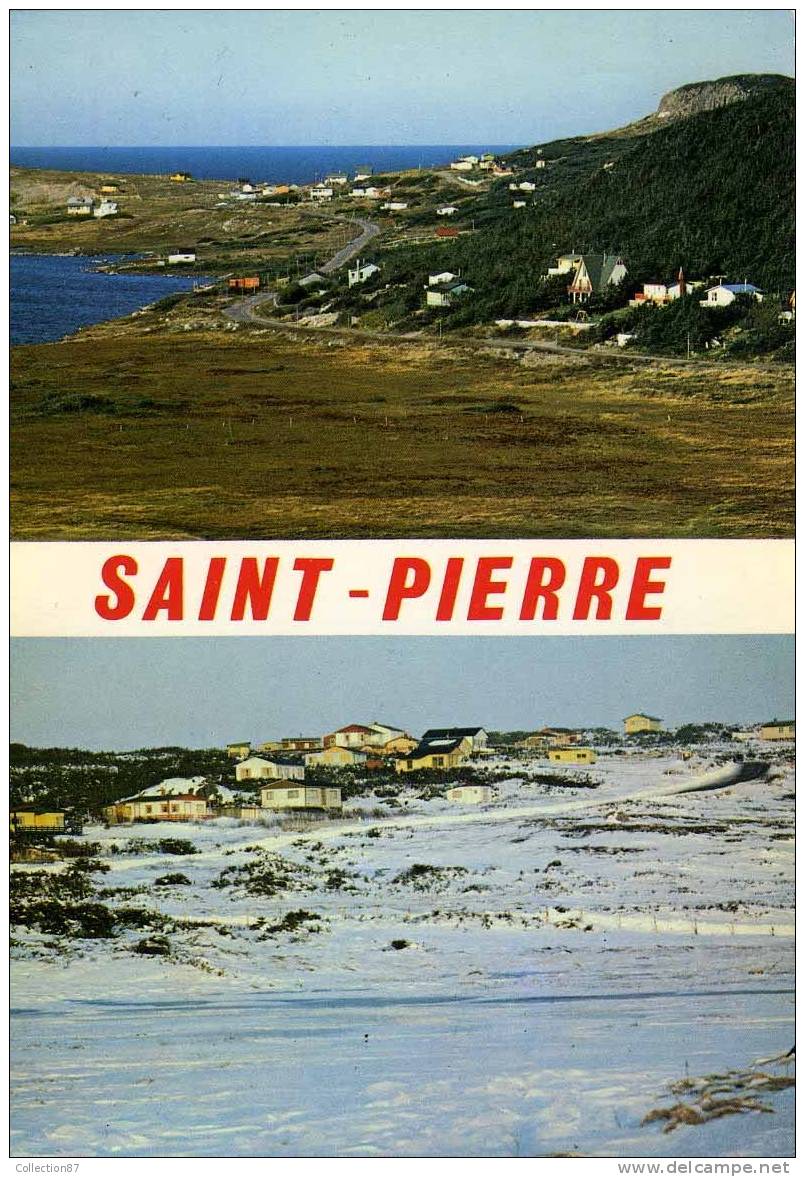 DOM - SAINT PIERRE Et MIQUELON - VILLA D'ETE à SAVOYARD - VILLA En HIVER Au CAP Aux BASQUES - San Pedro Y Miquelón