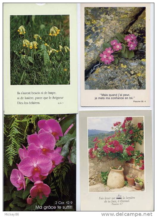 Fleurs---lot De 7 Cartes Modernes (FLEURS) Avec Pensée Extraits De Psaumes ,évangiles Et Autres-- - Flowers