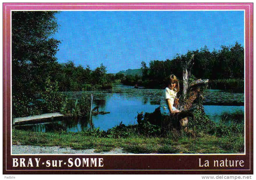 Carte Postale  80.  Bray-sur-Somme Trés Beau Plan - Bray Sur Somme