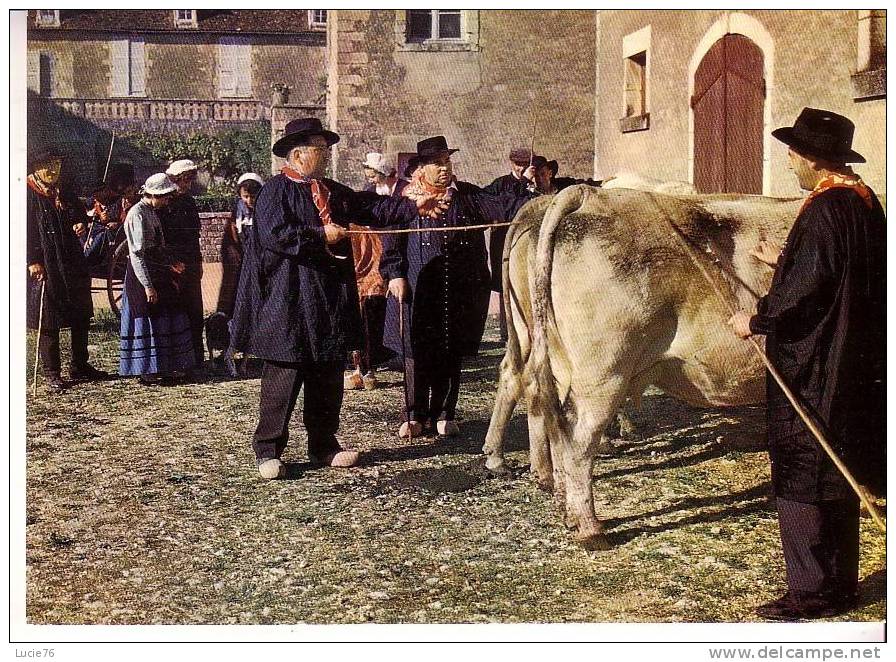 LE MORVAN FOLKLORIQUE - MORVANDIAUX à La Foire  - N°  10 327 - Bourgogne