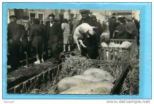 B - 85 - CHALLANS - N° 28 Artaud - Le Marché Aux Cochons - Challans