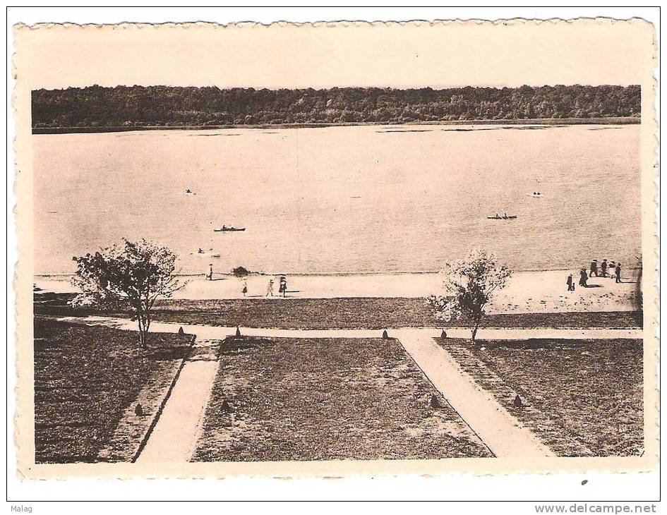 Lac De Virelles Vue Sur Le Lac - Chimay