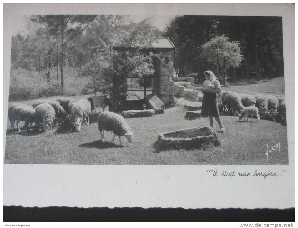 IL ETAIT Une BERGERE - Bergère Et Son Troupeau De Moutons - Collection "LA DOUCE FRANCE" - Animée - Non Voyagée - Allevamenti