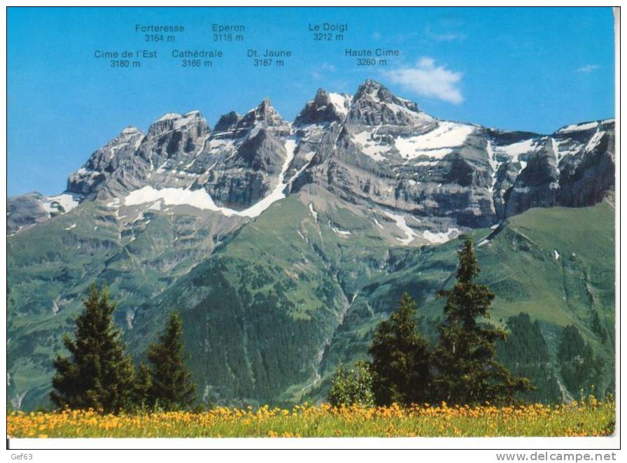 Le Massif Des Dents Du Midi - Cime De L´Est, Forteresse, Cathédrale, Eperon, Dt. Jaune, Le Doigt, Haute Cime - Autres & Non Classés