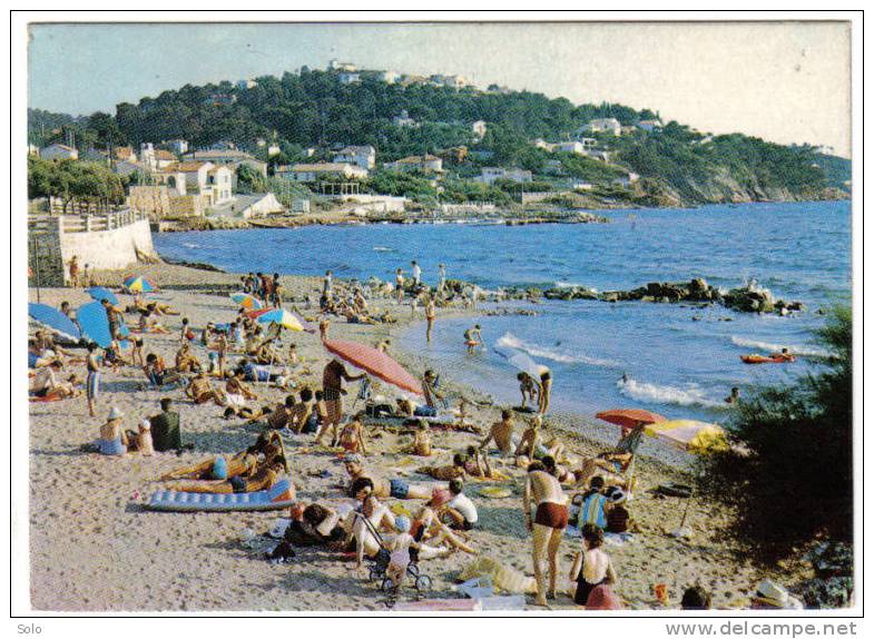 LE PRADET - La Plage De La Garonne - Le Pradet