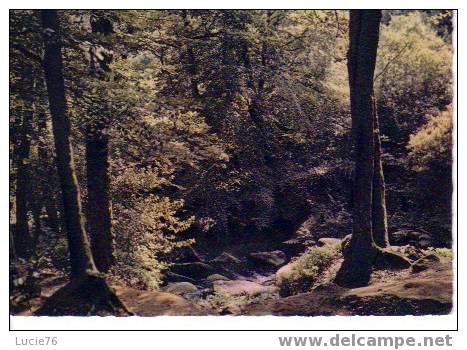 HUELGOAT -  N° MX 1939  -  La Mare Aux Fées  De HUELGOAT - Forêt Légendaire  De Bretagne - Huelgoat