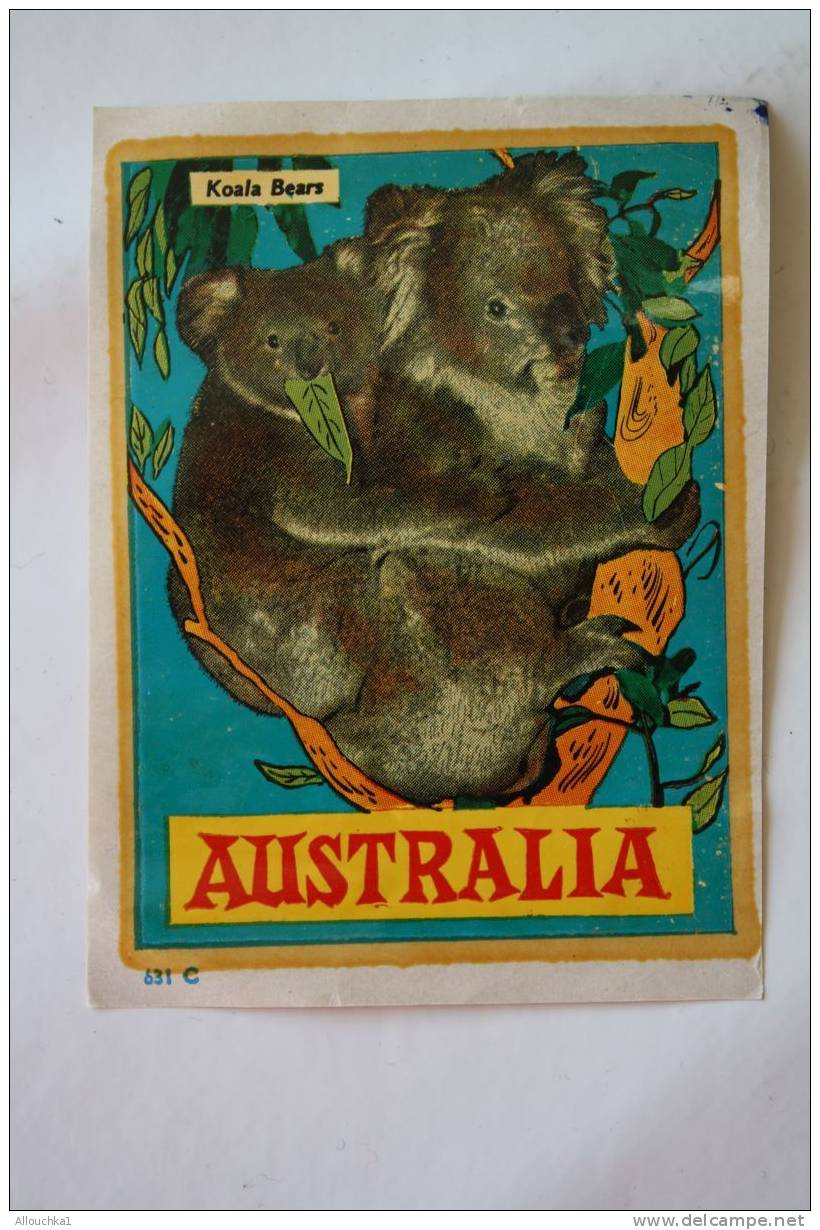 BLASON - ECUSSON ADHESIF : OBJET SOUVENIR DE : AUSTRALIA - KOALA -BEAR - Obj. 'Souvenir De'