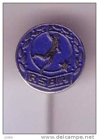 BOSNIA HANDBALL FEDERATION  ( Old Pin ) Badge Hand-ball Association Balonmano Pallamano Palla A Mano Anstecknadel - Handball