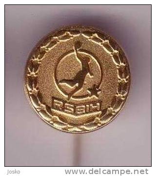 BOSNIA BALONMANO FEDERATION  ( Old Pin ) Badge Hand-ball Balonmano Pallamano Palla A Mano Anstecknadel Distintivo - Handbal