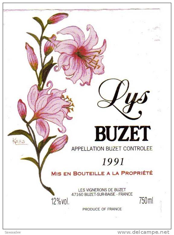 ETIQUETTE DE VIN - BUZET 1991 - LYS - Lelies