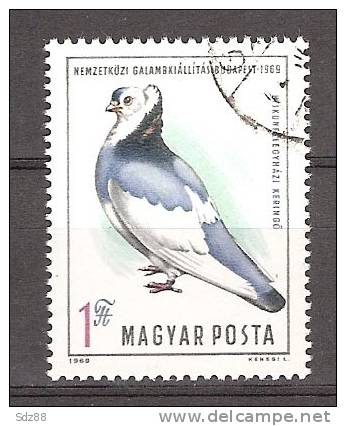 Hongrie YT 2090 Used Exposition Internationale Du Pigeon à Budapest - Pigeons & Columbiformes