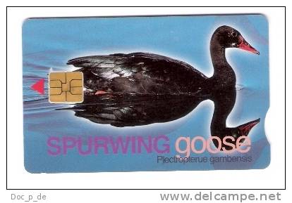 RSA - South Africa - Black Bird - Vogel - Goose - Exp. Date 2002/03 - Sudafrica