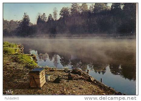 CPA.    SAUTIN.      Hotellerie Du Chateau-Doyen. - Sivry-Rance