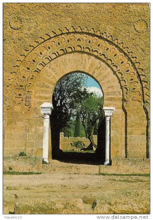 DZ - Tlemcen - Vestiges De Mansourah - Détail - CPM éd. SNED N° 1012 (non Circulée) - [porte D'entrée De La Tour] - Tlemcen