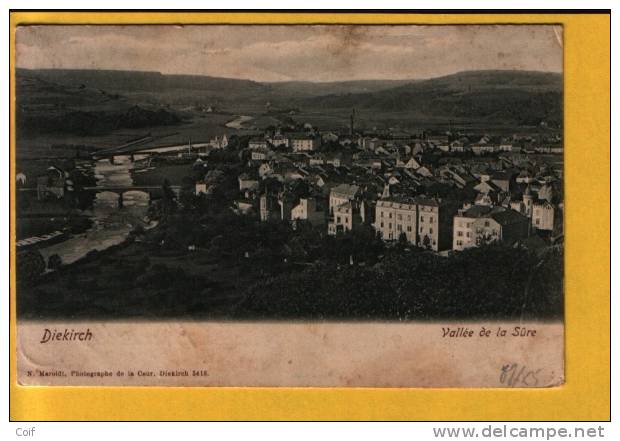 Kaart "DIEKIRCH" Met Ambulant (treinstempel)  ECHTERNACH - ETTELBRUCK - 1895 Adolphe Right-hand Side