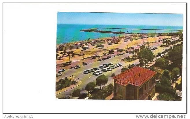 15635)cartolina Illustratoria Giulianova Lido - Lungomare - Teramo