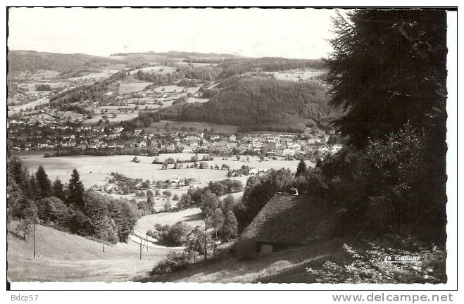 88 - VAL D'AJOL - Vue Générale Prise De La Route Des Feuillées - La Cigogne No 88.487.53 - Cornimont