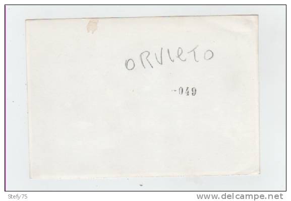 Orvieto-Terni-provino Cartolina- - Terni
