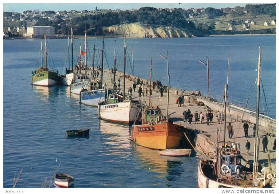 Crozon-Morgat - Bâteau De Pêche Dans Le Port - Crozon