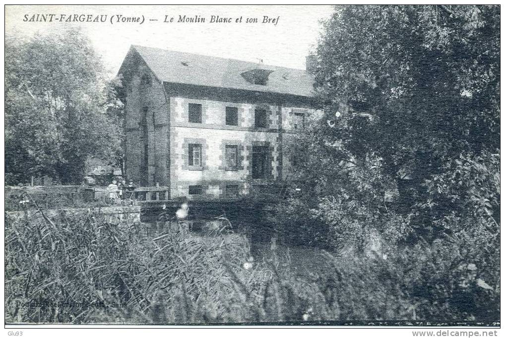 Lot 2 CPA - Saint Fargeau (89) - Le Moulin Blanc Et Son Bief + Le Château - Cour D'honneur (à Vol D'oiseau) - Saint Fargeau